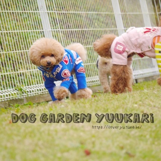 ��������ƃ^�u�������郊���E�e�B��