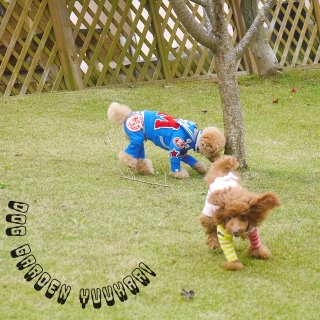 �������͂����́I