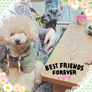 �L�b�`���ł������Ă܂��[