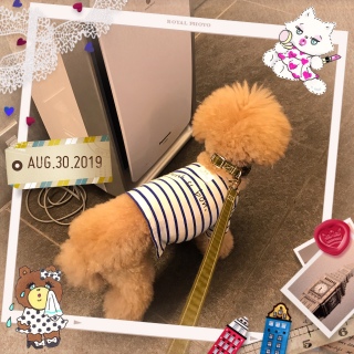 1�����@����