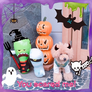 �n���E�B��