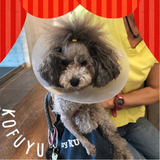 �G���J�����撣���Ă�ˁI