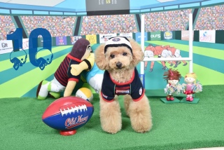 �X�^�W�I�L�������J�����_�[