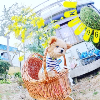 jRWƃ~U