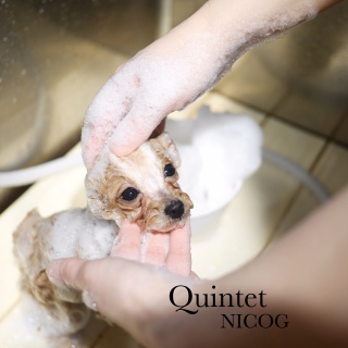 QuintetˁI