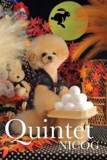 Quintet10