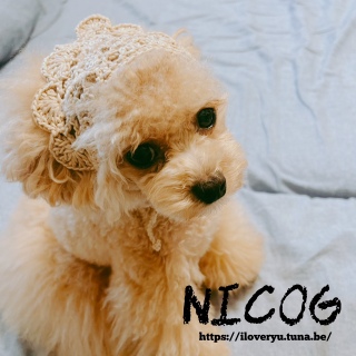 n~тc