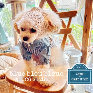 blue bleu bleue