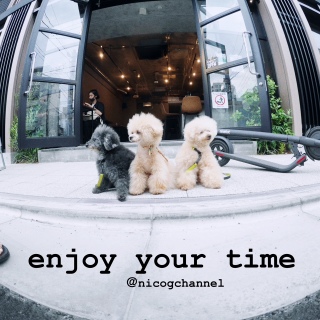 enjoy your time