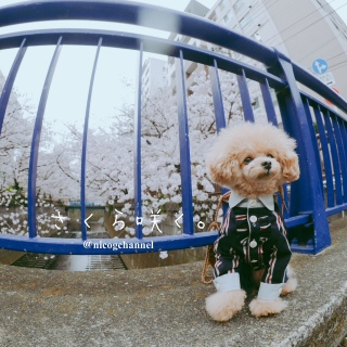 �\���j�R���჌���Y