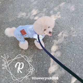 �����E�����̃A�C�R���^�N�g