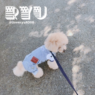 �`���b�Ǝ������Ă�(��))