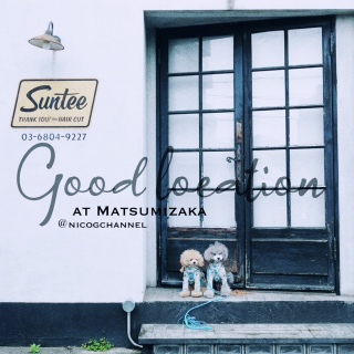 �j�R���C�ŁB