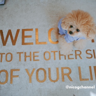 ������̏�