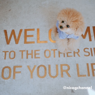 �������茩�グ�ė~���������Ȃ�