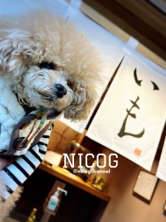 �j�R�������x�����x����