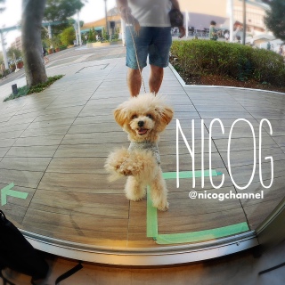 �^�b�`���Ă��ւ�