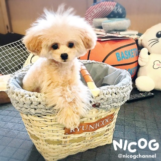 �n���̈������l����