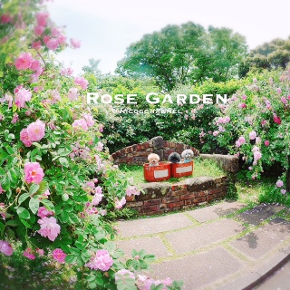 �i�i���C�����j�R�ł��ō��ˁI