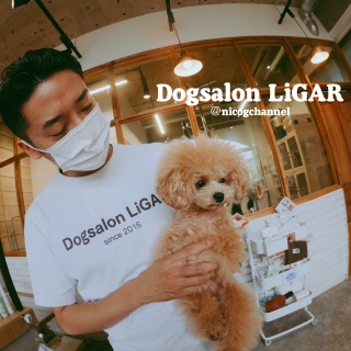 6���̃g���~���̃r�t�H�[�ł�