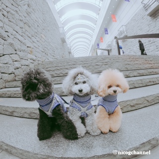 �����т͂��܂��