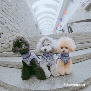 �����Ȃ��[