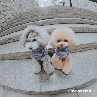 �j�R���C��