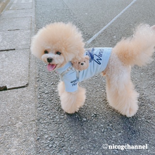 ���[���[�|���قǉ�����