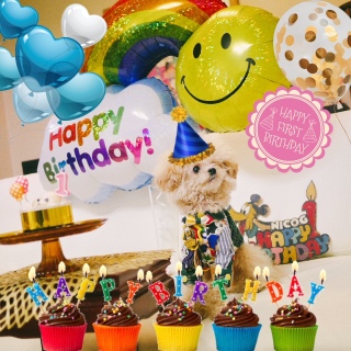 1stbirthday