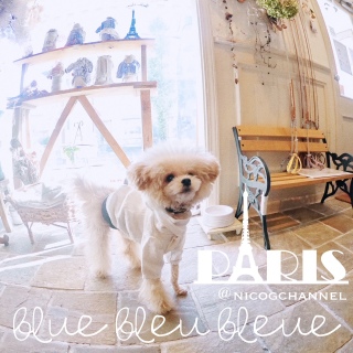 ���܌o�ߒ��ɂ����̖ѐL�тĂ܂���