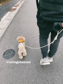 w܂ŃppɁ[ɂ}Ɂc