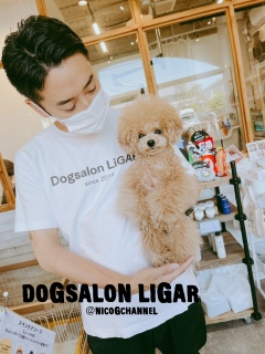Dogsalon LiGAR4/272