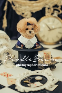 photographer mizuki11