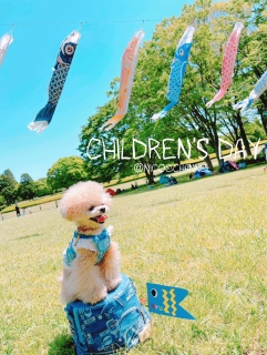 Children's DayՂȂ̌iFD