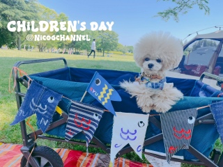 Children's Dayj̎q̂ߋ