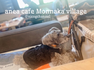 anea cafe Monnaka village