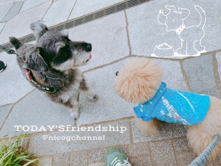 TODAY'SfriendshipVi