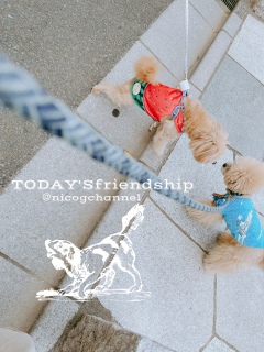 TODAY'Sfriendshipv[h