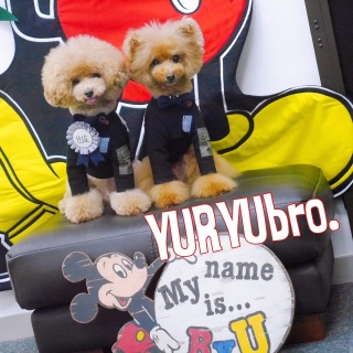 YURYUbro.