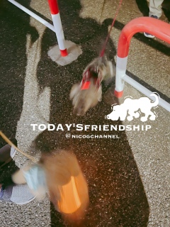 uuTODAY'Sfriendship