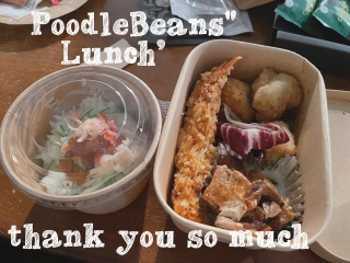 PoodleBeans̎̃P[^Oٓ