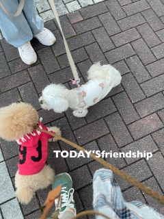 TODAY'Sfriendship