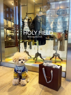 قƋvXHOLY FIELD