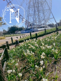 [v邩C}C`ǁc