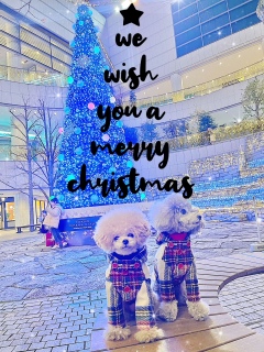 jRW̓}}Ă̂ˁH