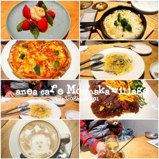 anea cafe Monnaka village