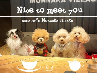 Nice to meet you
