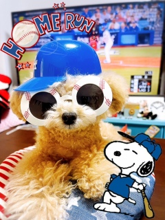 jRJƃerϐ