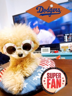 サングラスkeepが上手すぎ！
