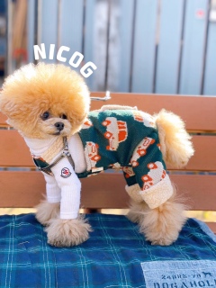 [jRW܂